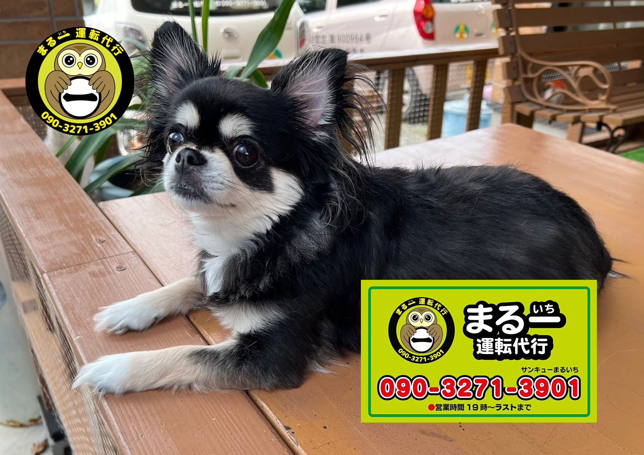 「まる一運転代行（まるいち）」八女で代行呼ぶなら『サンキューマルイチ（3901）』♪
